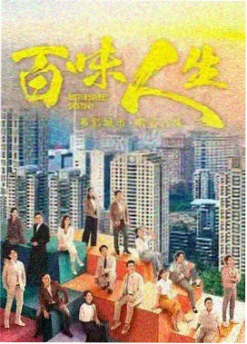 番茄影院《雾港迷踪》在线观看海报